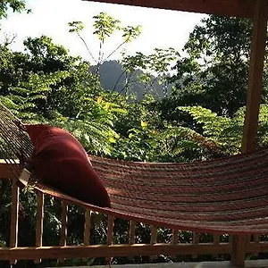 Roots Jungle Retreat Lodge Marigot